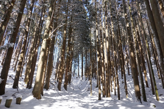 愛宕山