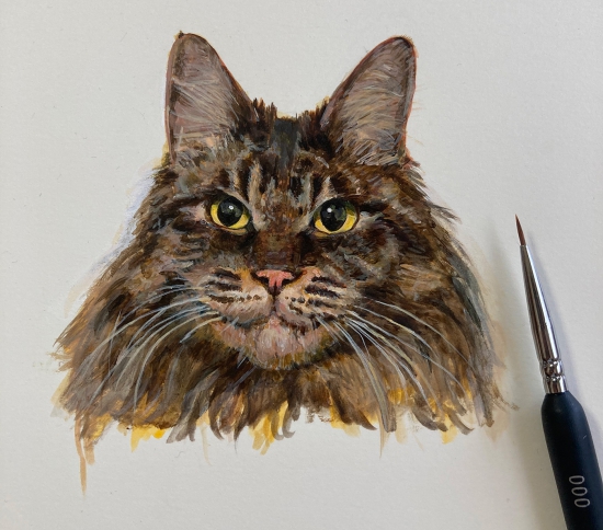 飼い猫の絵