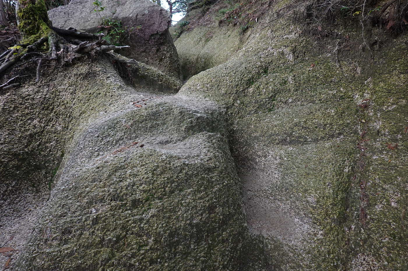 御在所岳