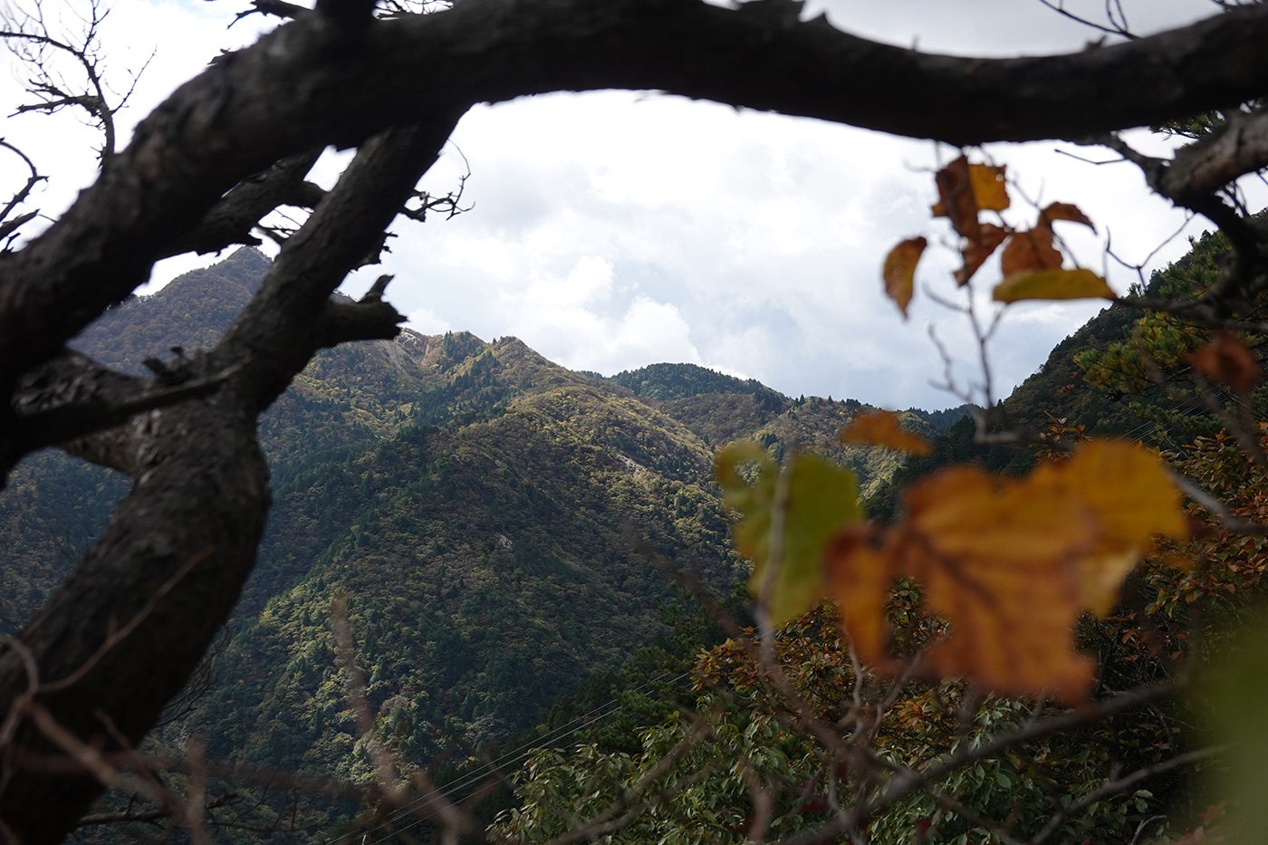 御在所岳
