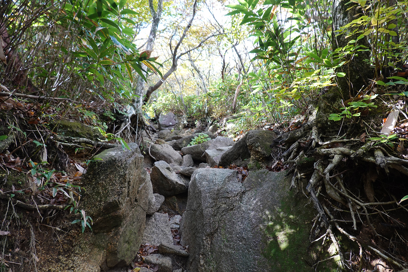 御在所岳