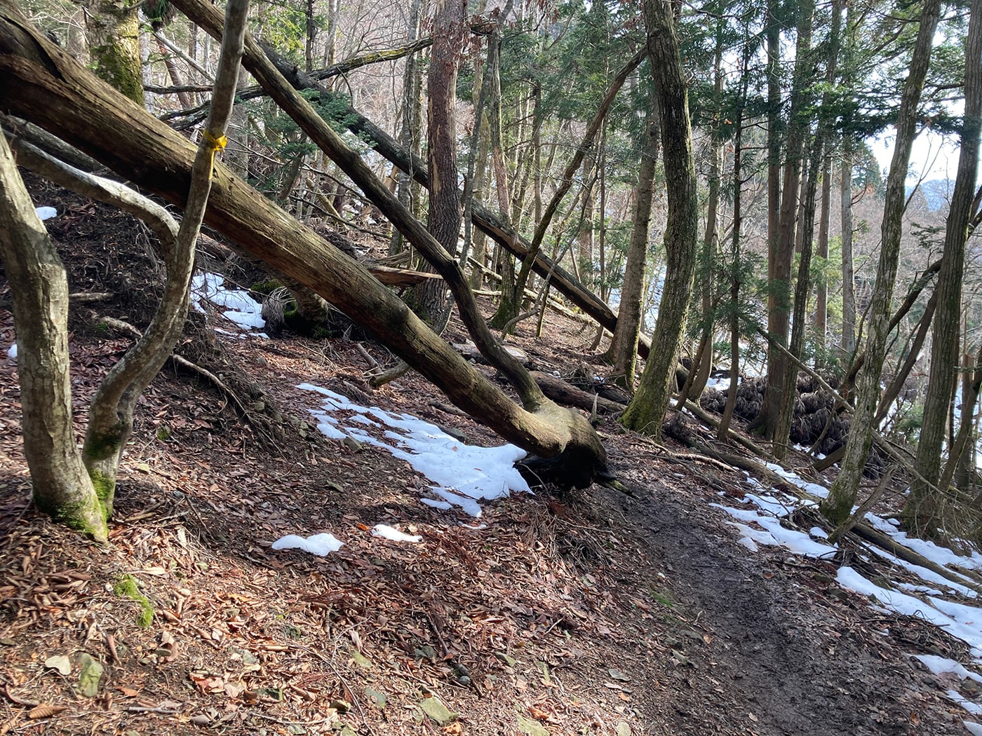 武奈ヶ岳・御殿山