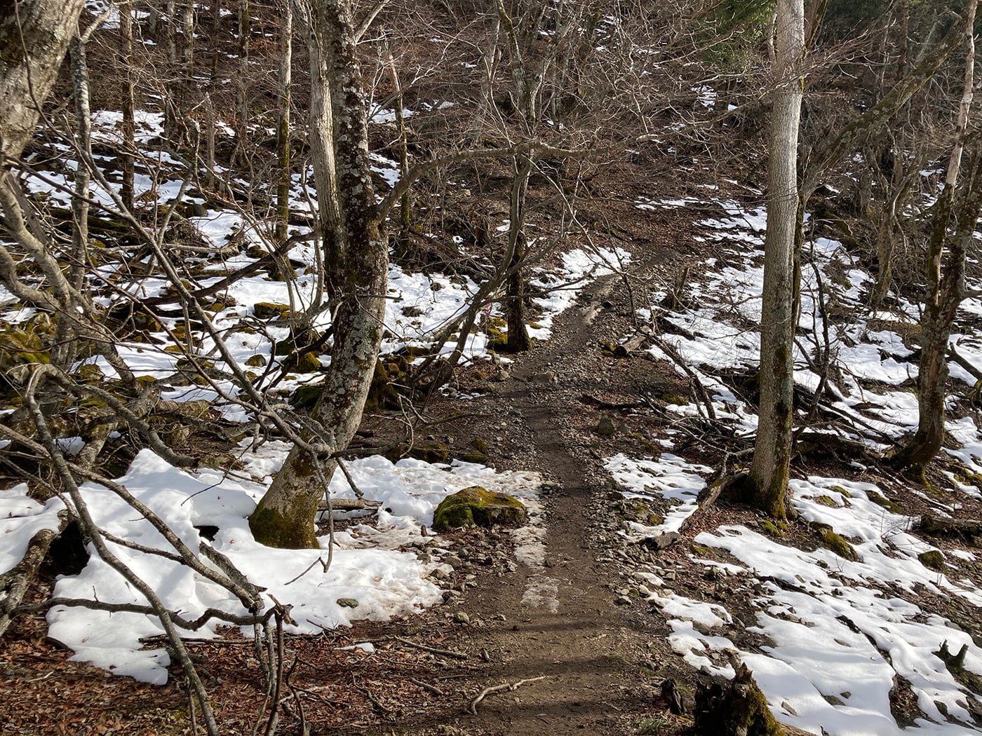 武奈ヶ岳・御殿山