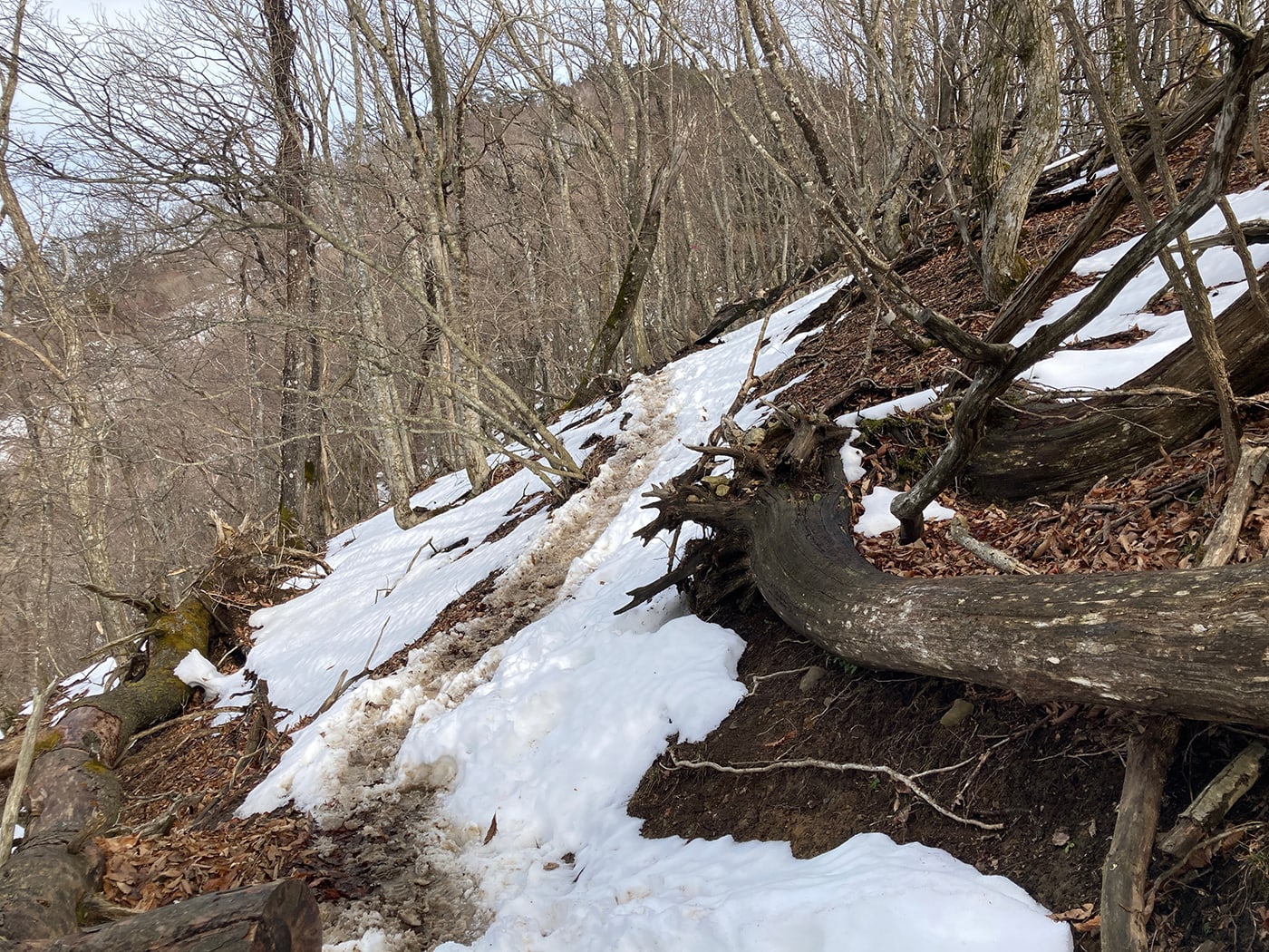武奈ヶ岳・御殿山