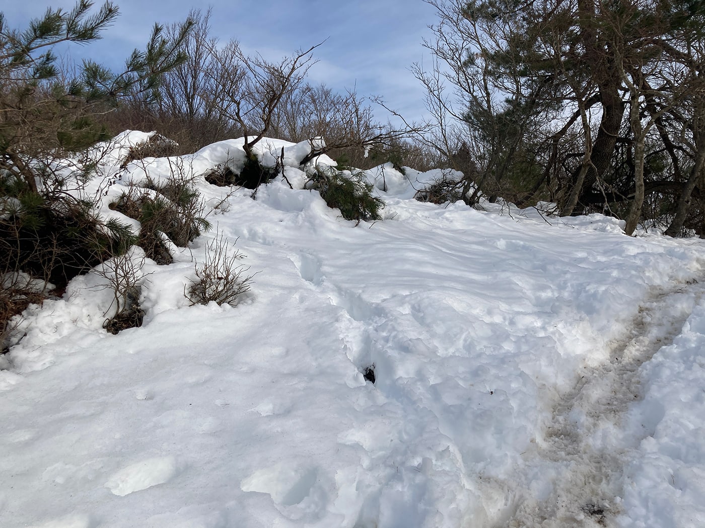 武奈ヶ岳・御殿山