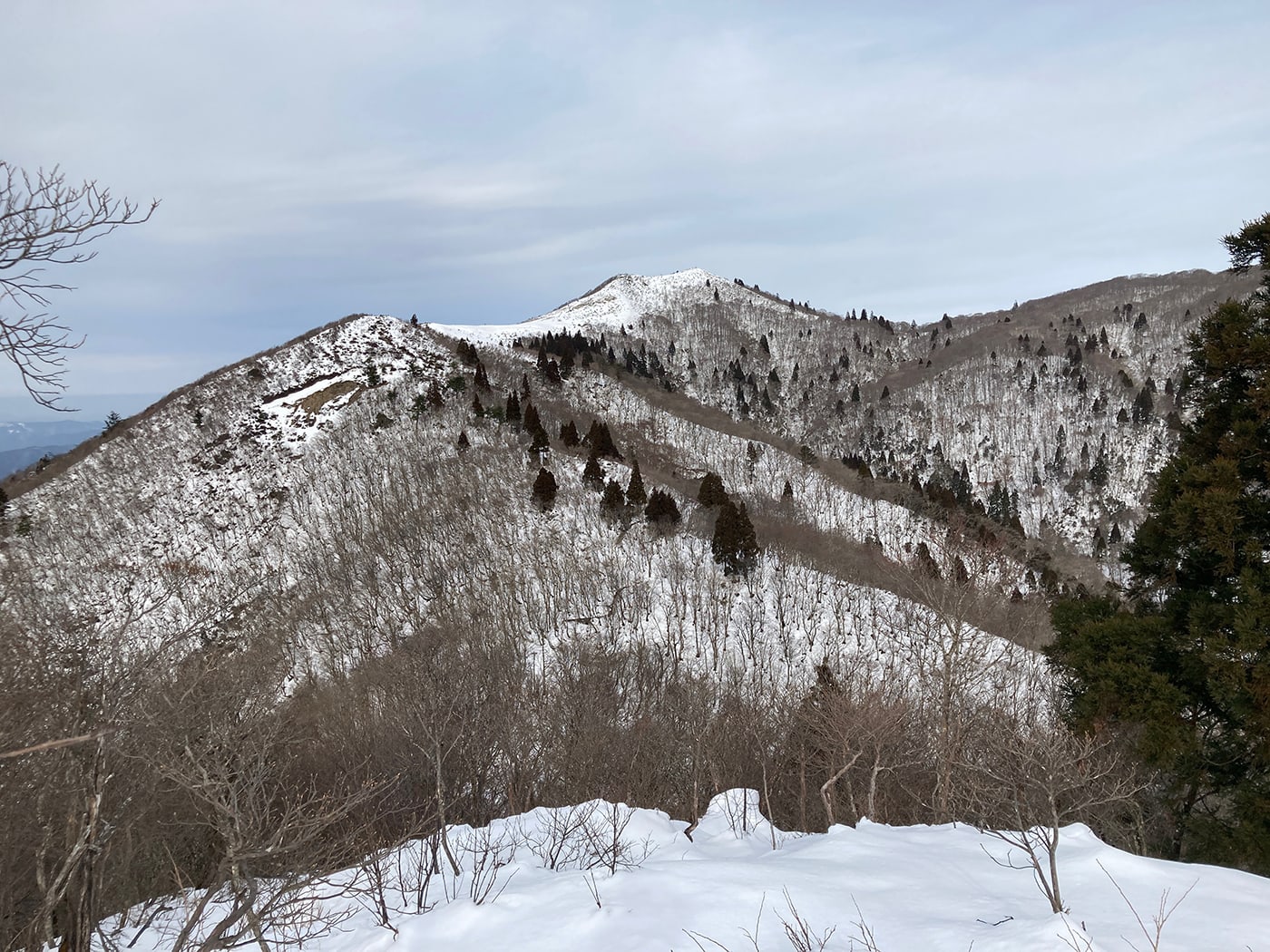 武奈ヶ岳・御殿山