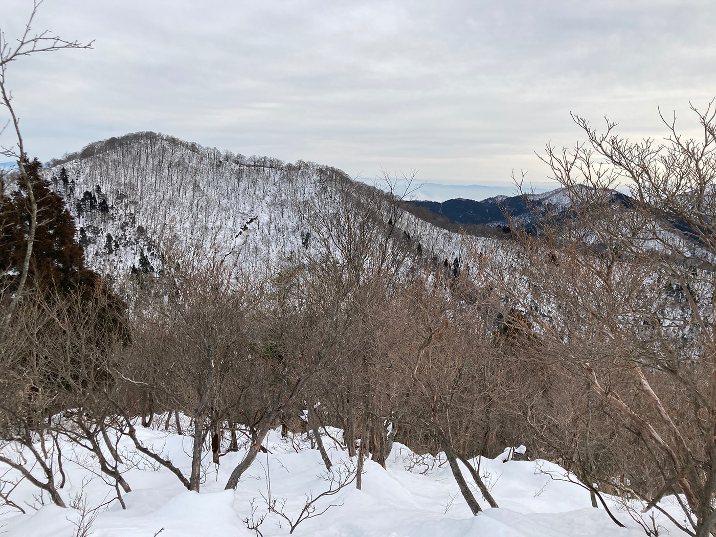 武奈ヶ岳・御殿山