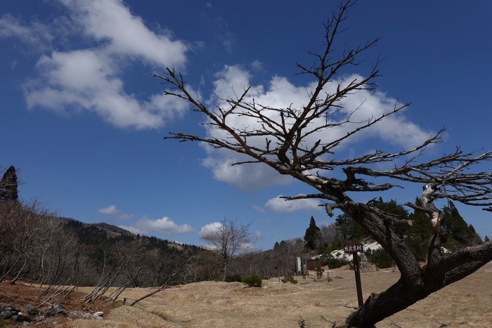 武奈ヶ岳