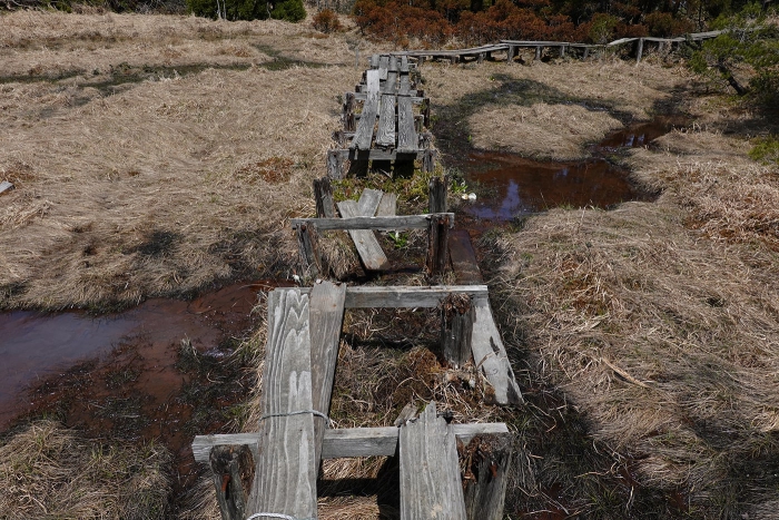 武奈ヶ岳