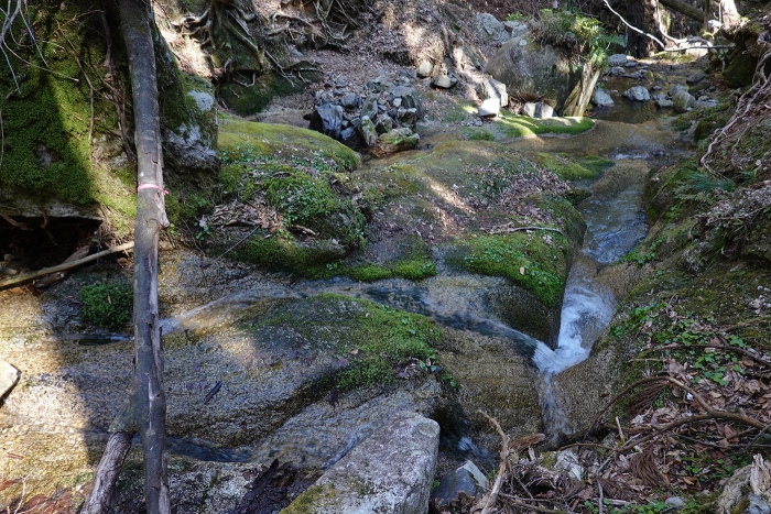 武奈ヶ岳