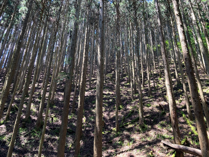 雲取山