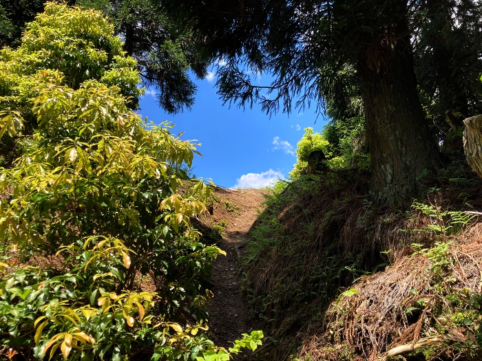 雲取山