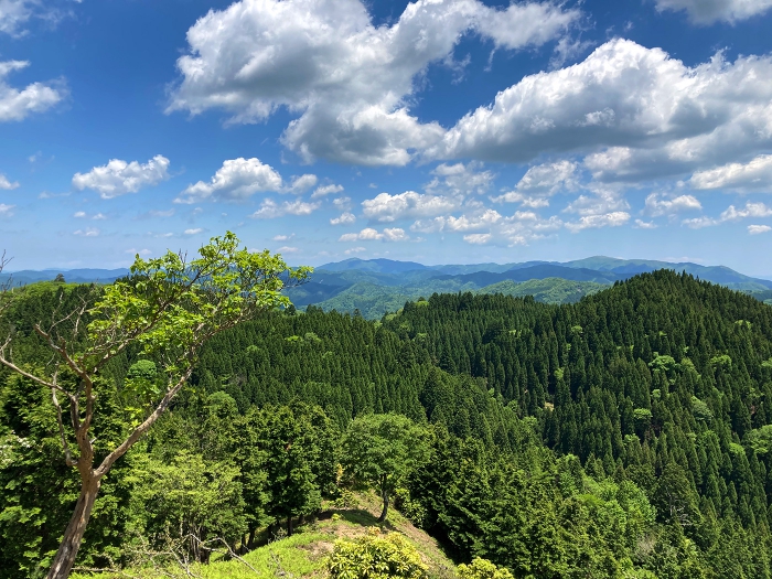 雲取山