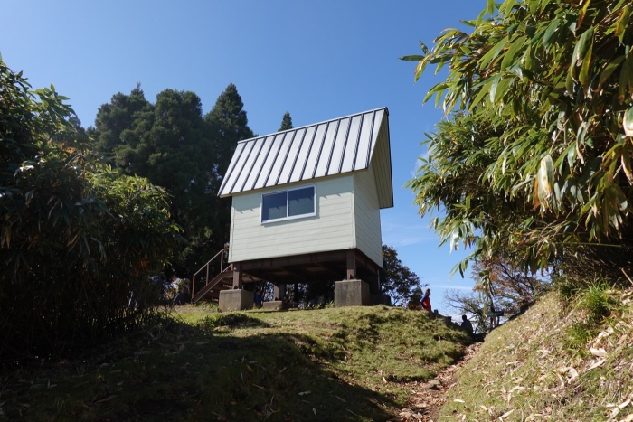 氷ノ山山頂でヤマネを発見！