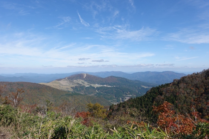 氷ノ山山頂でヤマネを発見！