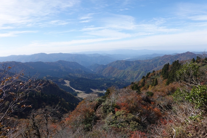 氷ノ山山頂でヤマネを発見！