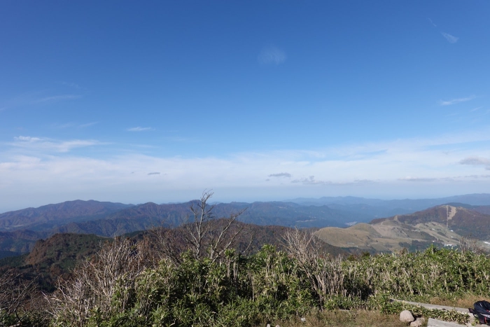 氷ノ山山頂でヤマネを発見！