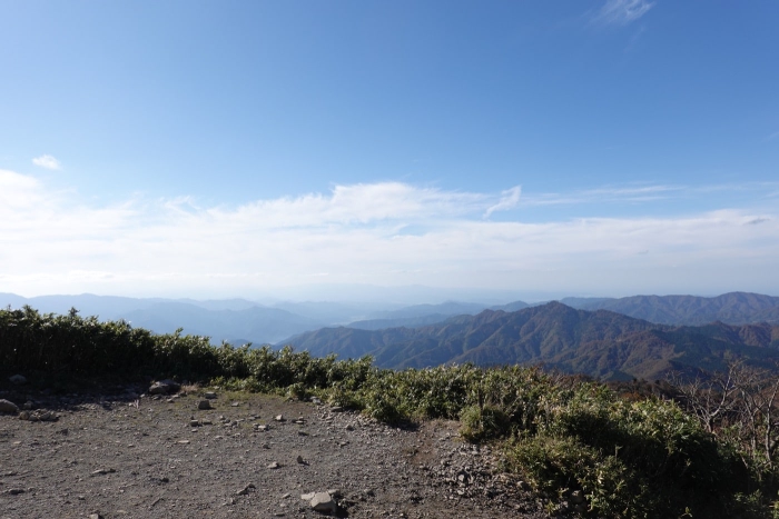 氷ノ山山頂でヤマネを発見！