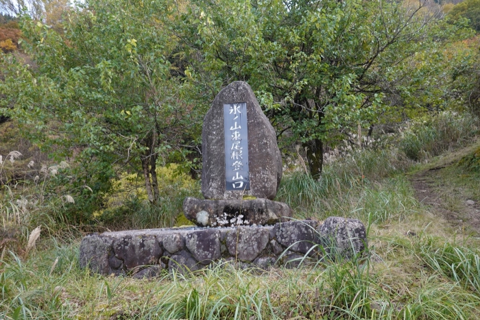 氷ノ山山頂でヤマネを発見！