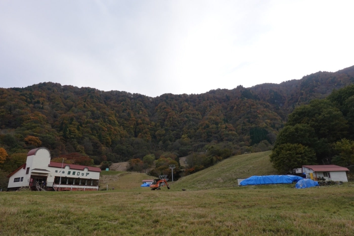 氷ノ山山頂でヤマネを発見！