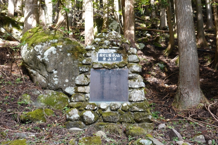 氷ノ山山頂でヤマネを発見！