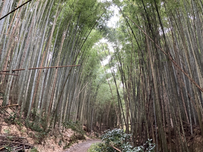 京都一周トレイル2回目