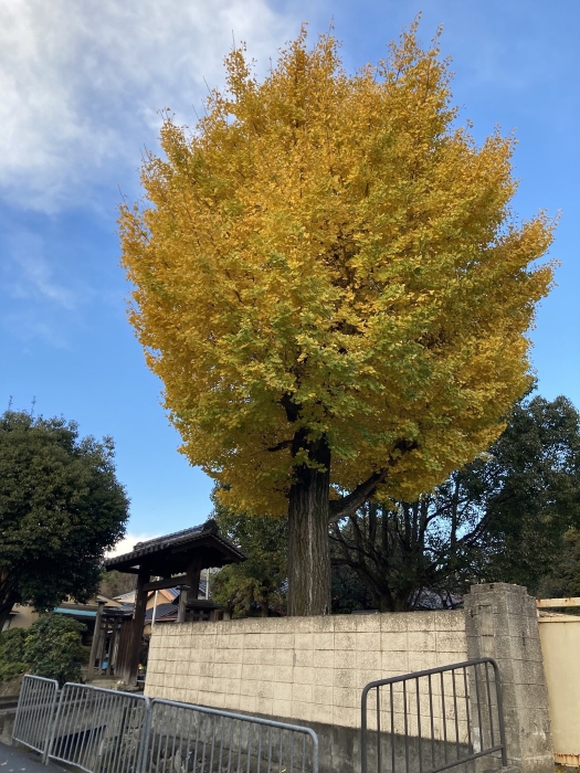 京都一周トレイル2回目