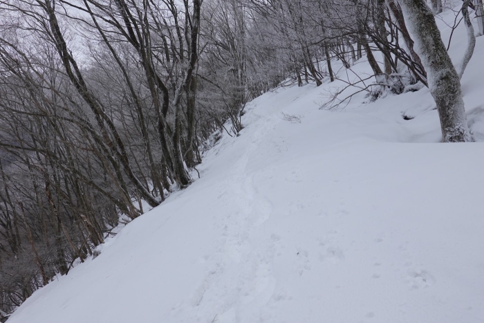 2022/03/6霊仙山