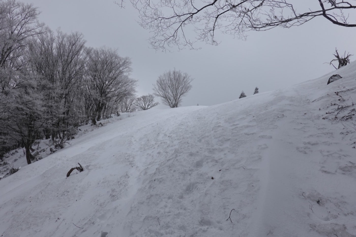 2022/03/6霊仙山