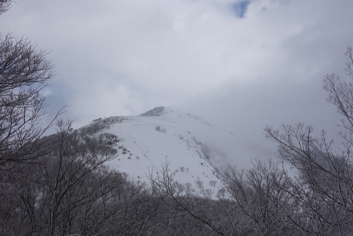 2022/03/6霊仙山