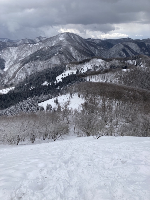 2022/03/6霊仙山