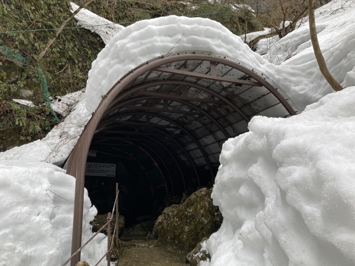 2022/03/6霊仙山