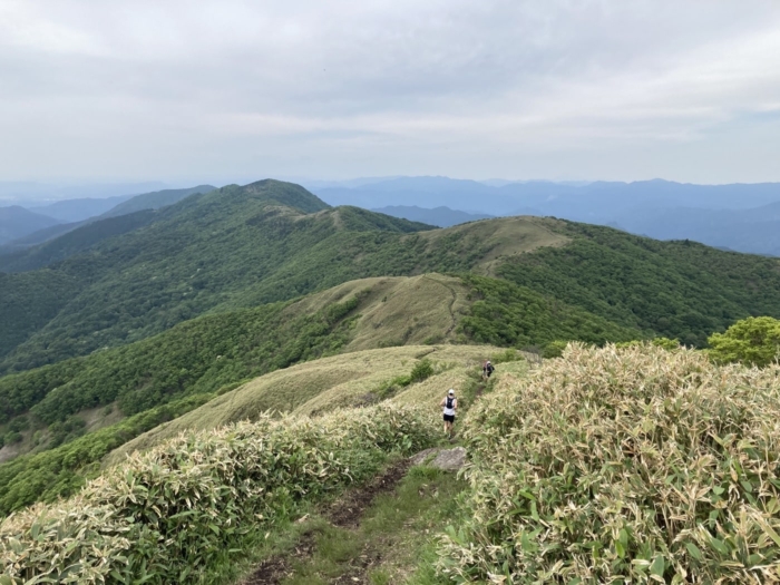 Nagi Peaks Tough Trail Challenge 2023(32km)